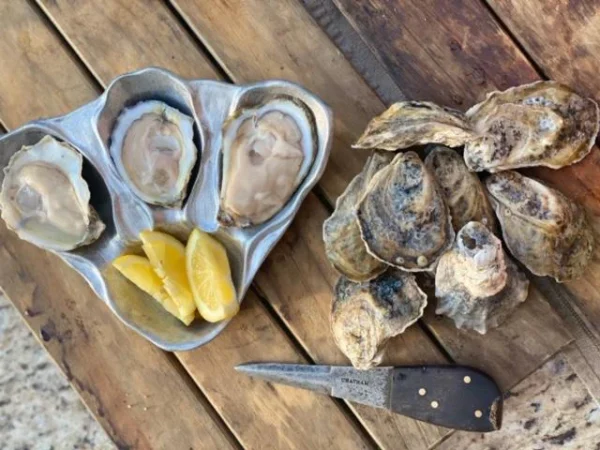Trinity Oyster Bed - Image 2