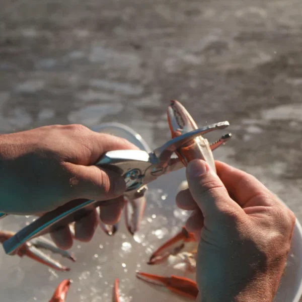 Crab Claw Cutter - Image 3